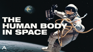 The Human Body in Space