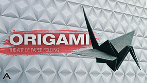 Origami: The Art of Paper Folding